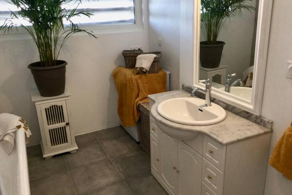 Appartement Vue Mer Brest Hyper Centre Kültér fotó